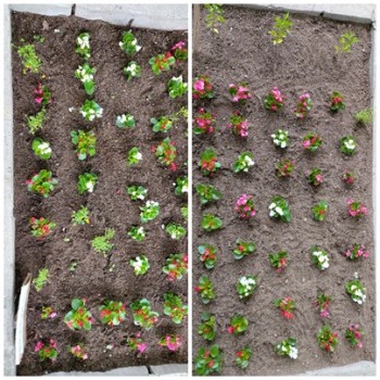 송산노인복지센터 월예치료 프로그램 이미지