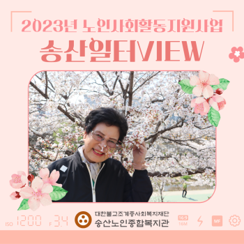 2023년도 노인사회활동지원사업 4월 송산일터VIEW 이미지