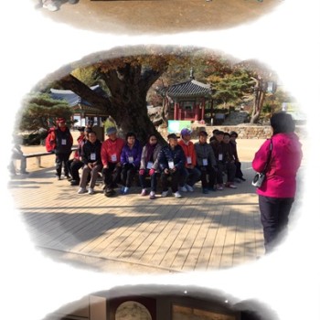 2016년도 세월따라 가는 역사기행 실시 이미지