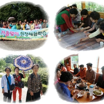 가을맞이 현장체험학습 실시 이미지