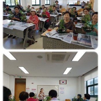 ‘찾아가는 복지원예교육’ 실시 이미지